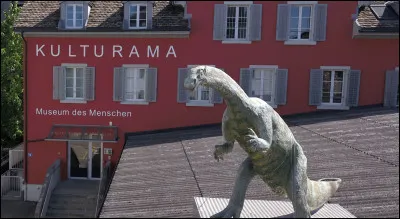 Un dinosaure vous attend sur le toit du mus&eacute;e Kulturama &agrave; Zurich. &Agrave; travers ses parcours &laquo; D&rsquo;o&ugrave; nous venons &raquo; et &laquo; Qui nous sommes &raquo;, &agrave; quoi ce mus&eacute;e est-il consacr&eacute; ?