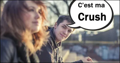 Allez, un facile. Un crush, qu'est-ce que c'est ?(Toutes les r&eacute;ponses sont au masculin car c'est mon point de vue.)