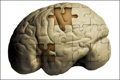 Dans quel pays le taux de mortalit&eacute; de la maladie d'Alzheimer est-il le plus &eacute;lev&eacute; ?