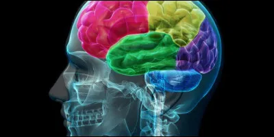 Qu'est-ce que l'aphasie, souvent associ&eacute;e &agrave; la maladie d'Alzheimer ?