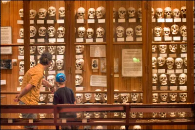 Le M&uuml;tter Museum, c&eacute;l&egrave;bre mus&eacute;e d&rsquo;histoire m&eacute;dicale situ&eacute; &agrave; Philadelphie, abrite des collections anatomiques exceptionnelles. Quelle pi&egrave;ce particuli&egrave;rement c&eacute;l&egrave;bre y est notamment expos&eacute;e ?