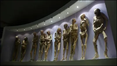 Quelle &eacute;trange collection de plus de 100 pi&egrave;ces uniques peut-on d&eacute;couvrir dans un mus&eacute;e pour le moins &eacute;tonnant &agrave; Guanajuato, au Mexique ?