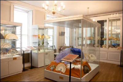 The Fan Museum est un mus&eacute;e unique au monde situ&eacute; &agrave; Londres. En effet, il est le seul &agrave; &ecirc;tre enti&egrave;rement d&eacute;di&eacute; &agrave; l'histoire, &agrave; la culture et &agrave; l'artisanat des...