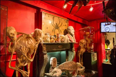 Plongez dans un univers parall&egrave;le d&eacute;di&eacute; &agrave; l&rsquo;&eacute;trange, au surr&eacute;alisme et &agrave; l&rsquo;excentricit&eacute; avec le Mus&eacute;e d&rsquo;Art Fantastique. Dans quelle capitale europ&eacute;enne ce mus&eacute;e se trouve-t-il ?
