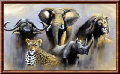 Quel animal est surnomm&eacute; "le roi des animaux" ?