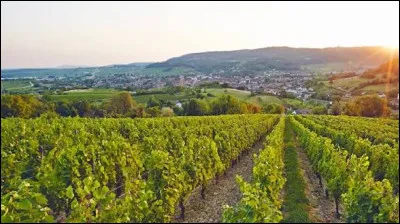 De quelle r&eacute;gion, Arbois est-elle la capitale des vins ?