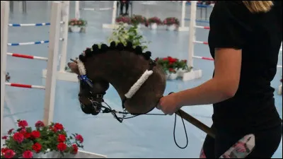 Quel est le record de saut &agrave; hobby horse ?