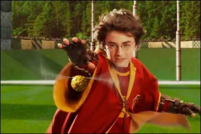 Quel est le poste de Harry Potter dans l'&eacute;quipe de Quidditch de Gryffondor ?