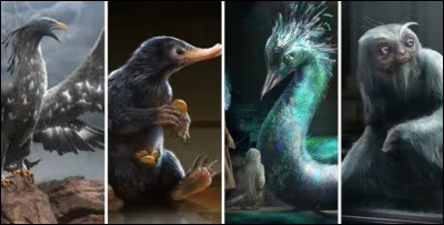 Quel animal de compagnie poss&egrave;de Hermione Granger ?