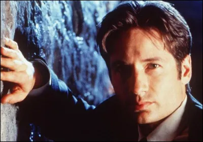 Qui est ce acteur am&eacute;ricain qui joue le r&ocirc;le de ''Brad'' dans le film ''Beethoven''de 1992 ?