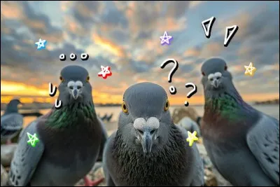 Tu veux proposer une sortie &agrave; tes amis ce soir, mais tu as peur qu'ils disent "non" ou qu'ils ne r&eacute;pondent pas.
