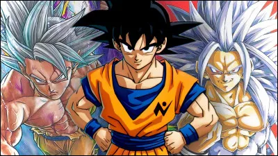 Quel est cet anime ?