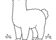 Quiz Nom en Al