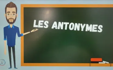 Quiz Grammaire