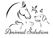 Quiz Une image ou une vidéo pour une solution