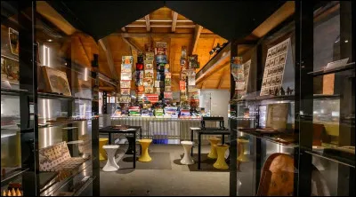Au bord du lac L&eacute;man, install&eacute; dans le magnifique Ch&acirc;teau de La Tour-de-Peilz, &agrave; quoi est consacr&eacute; le &laquo; MSJ &raquo; ?