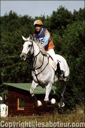 Quelles sont les trois disciplines olympiques questres ?