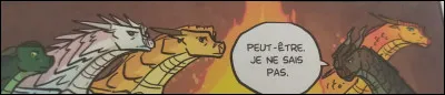Quel est le nom anglais de ce fruit ?