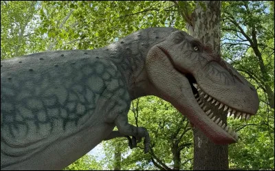 Les dinosaures ont disparu avant l'apparition des premiers mammif&egrave;res.