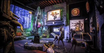 &Agrave; Rochefort-en-Terre, dans le Morbihan, d&eacute;couvrez l&rsquo;improbable univers du Naia Museum. &Agrave; quels arts ce mus&eacute;e est-il d&eacute;di&eacute; ?