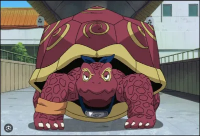 Et voici la grosse tortue de...