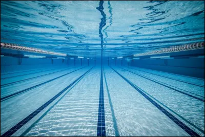 Quelle est la longueur d'une piscine olympique ?