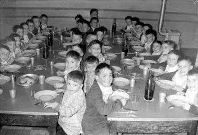En quelle ann&eacute;e, le vin est-il totalement banni de l&rsquo;ensemble des cantines scolaires fran&ccedil;aises ?