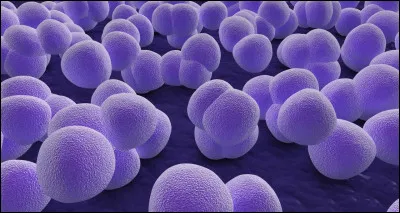 Science - Quel scientifique a d&eacute;couvert la p&eacute;nicilline en 1928, r&eacute;volutionnant la m&eacute;decine ?