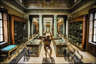 Le Mus&eacute;e et Conservatoire d&rsquo;Anatomie de Montpellier poss&egrave;de plus de 13 000 pi&egrave;ces, dont les collections sont class&eacute;es au titre des Monuments historiques. Il est install&eacute; au sein de la Facult&eacute; de M&eacute;decine de Montpellier. Pour quelle raison cette institution est-elle si prestigieuse ?
