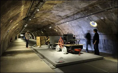 &Agrave; proximit&eacute; du pont de l&rsquo;Alma, quel site culturel parisien propose une immersion insolite gr&acirc;ce &agrave; un parcours souterrain d&rsquo;environ 500 m&egrave;tres ?