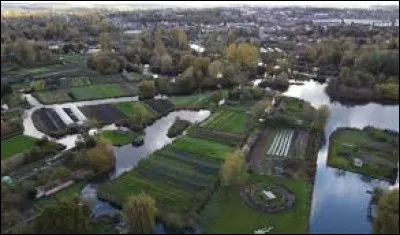 Comment nomme-t-on ces parcelles mara&icirc;ch&egrave;res entrecoup&eacute;es de canaux et longeant la Somme ?