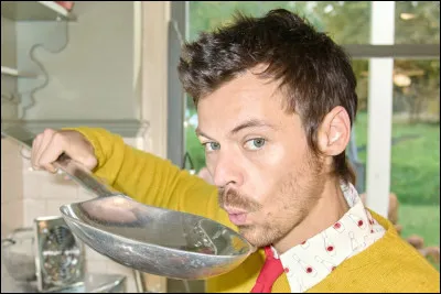 H - Ce chanteur britannique a fait partie du groupe "One Direction", il chante "As It Was" et "Watermelon Sugar", c'est...