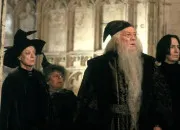Quiz Les acteurs dans ''Harry Potter'' : les adultes