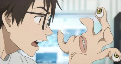 Quel est cet anim&eacute; ?