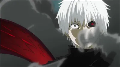 Quel est cet anim&eacute; ?