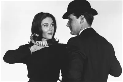 Quel est ce c&eacute;l&egrave;bre duo policier anglais des ann&eacute;es 70 ?