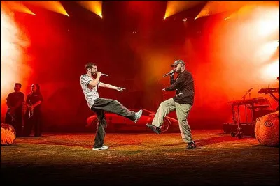 Quel est ce c&eacute;l&egrave;bre duo de rappeurs toulousains ?