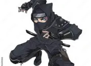 Test Es-tu un ninja ?