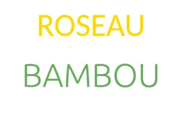 Quiz Culture générale