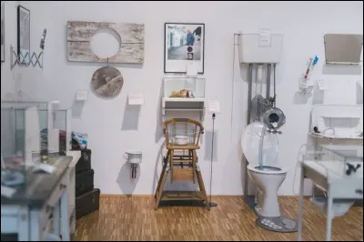 Le Nonseum est un mus&eacute;e insolite et d&eacute;cal&eacute; situ&eacute; &agrave; Herrnbaumgarten, en Autriche. Quel art particuli&egrave;rement original c&eacute;l&egrave;bre-t-il ?