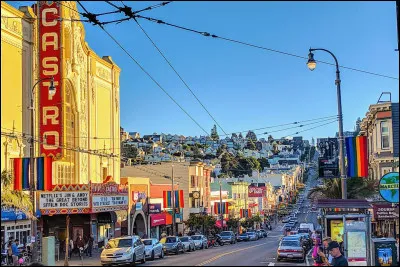 D'apr&egrave;s la chanson "San Francisco", de quelle couleur est la maison dont Maxime Le Forestier raconte les habitants ?