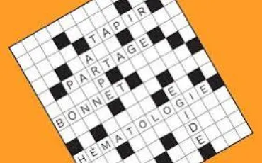 Quiz Vocabulaire