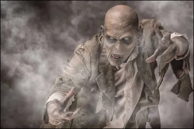 &Agrave; quel rappeur doit-on le tube "Zombie" en 2013 ?