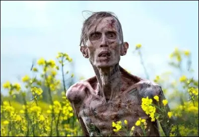 Lors de quelle f&ecirc;te est-on susceptible de voir des d&eacute;guisements de zombies ?