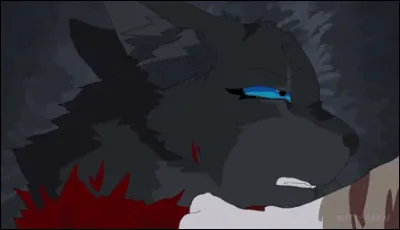 Museau Cendr&eacute; meurt lors de la bataille contre les renards.