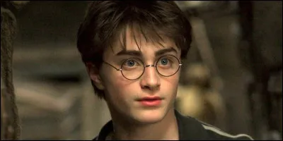 Il est le h&eacute;ros principal d'une saga fantastique cr&eacute;&eacute;e par J. K. Rowling. Qui est-ce ?