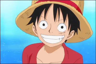 Il est le h&eacute;ros du manga "One Piece". Qui est-ce ?