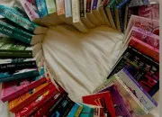 Test Quel roman est fait pour toi ?
