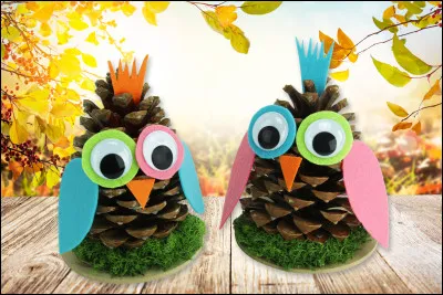 Comment Ron obtient-il Coquecigrue, son propre hibou (pour remplacer Cro&ucirc;tard) ?