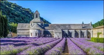 &Agrave; proximit&eacute; de Gordes, quelle abbaye cistercienne est entour&eacute;e de champs de lavande ?
